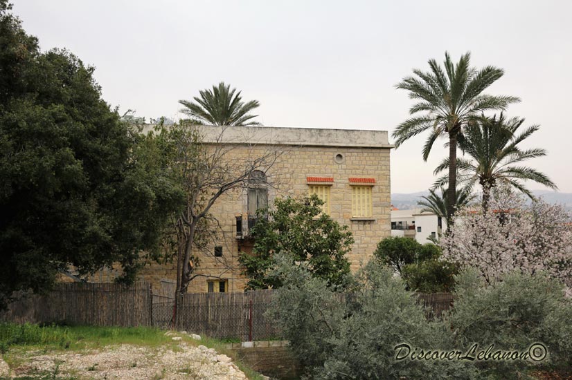 Amchit old house and tree