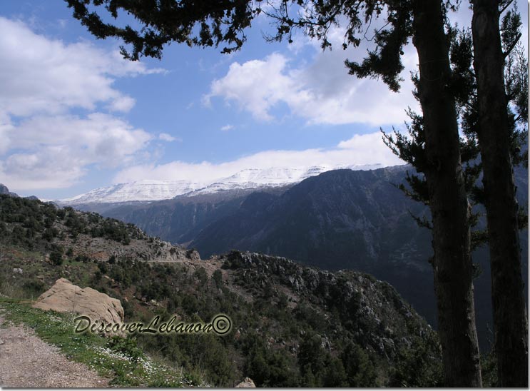 Lebanese landscape