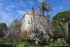 Villa in Amchit with blossomed tree