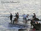 Fishermen in Byblos