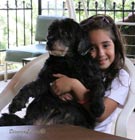 Lebanese girl and dog