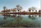 Aamiq Wetlands