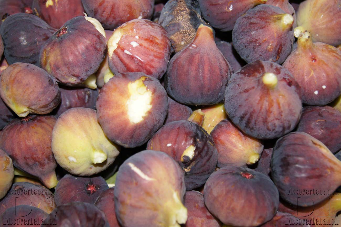 Lebanese black figs Lebanon