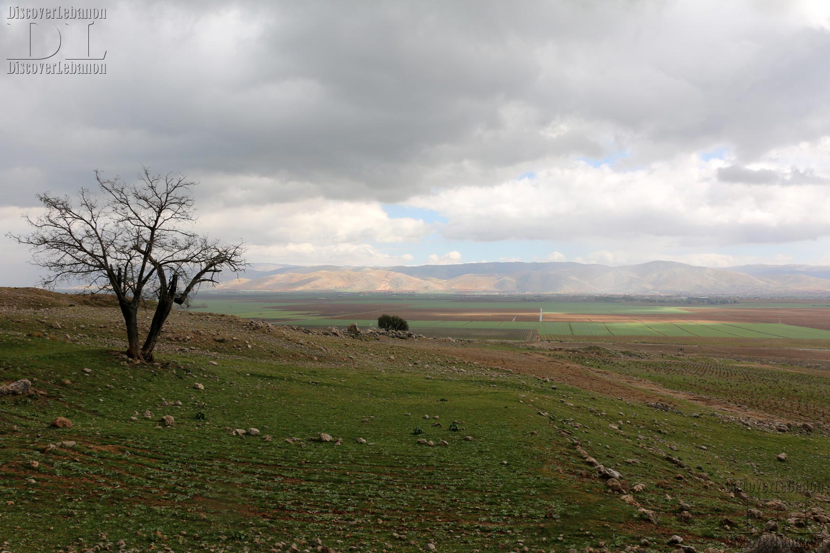 Bekaa valley Lebanon Beqaa agriculture landscape