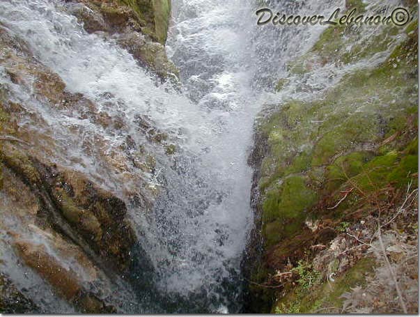 Spring of water in Bearzleh