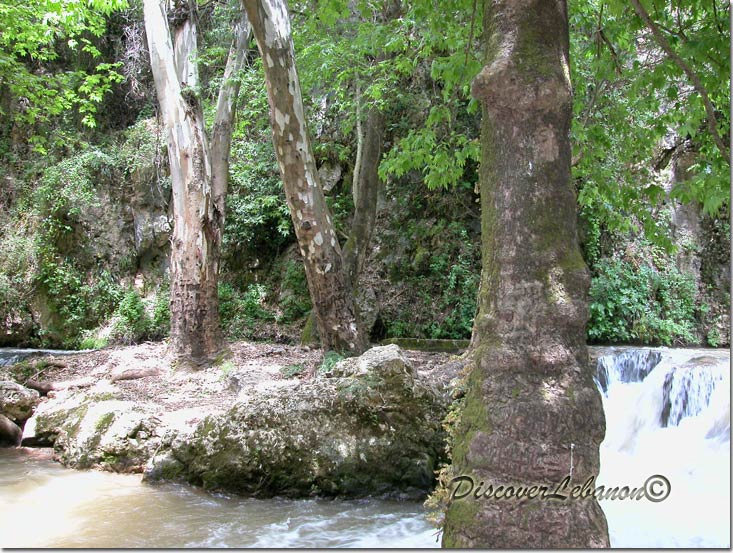 River Nahr El Jaouz